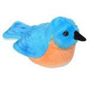 Eastern Bluebird