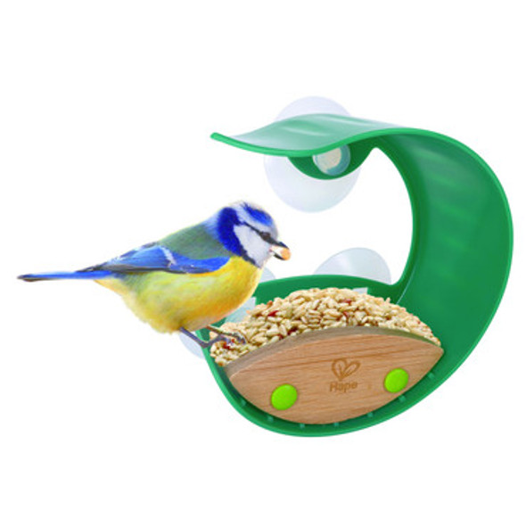 Window Bird Feeder