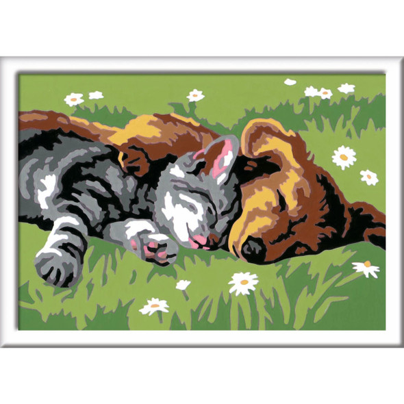 CreArt Paint by Numbers - Sleeping Cat and Dog