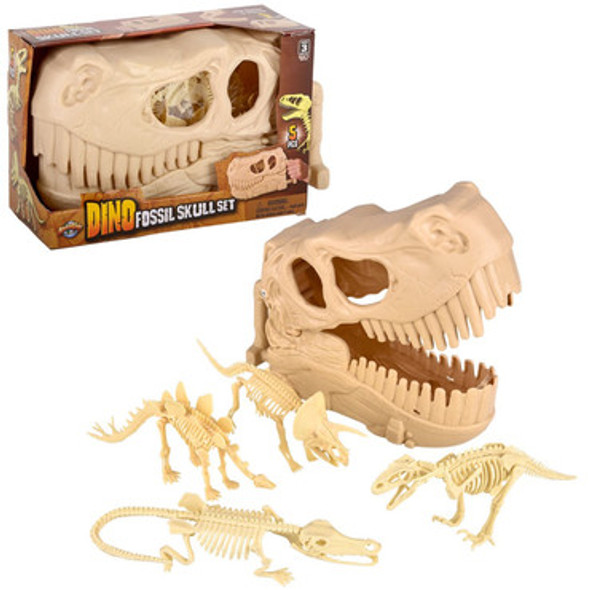 Dinosaur Fossil Skull Set