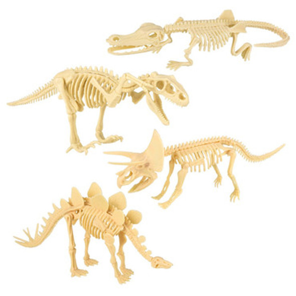 Dinosaur Fossil Skull Set