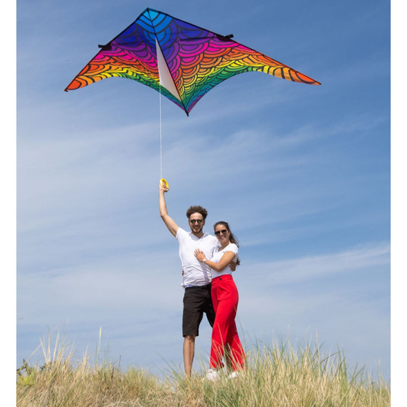 4m Delta Kite - Illusion