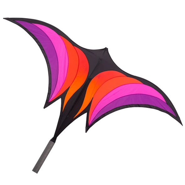 Brasington's Ravenswing Kite