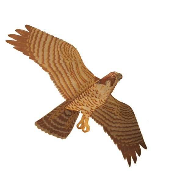 Jackite Peregrine Falcon Kite