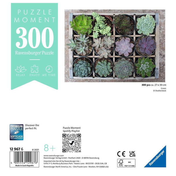Green 300pc Puzzle Moment