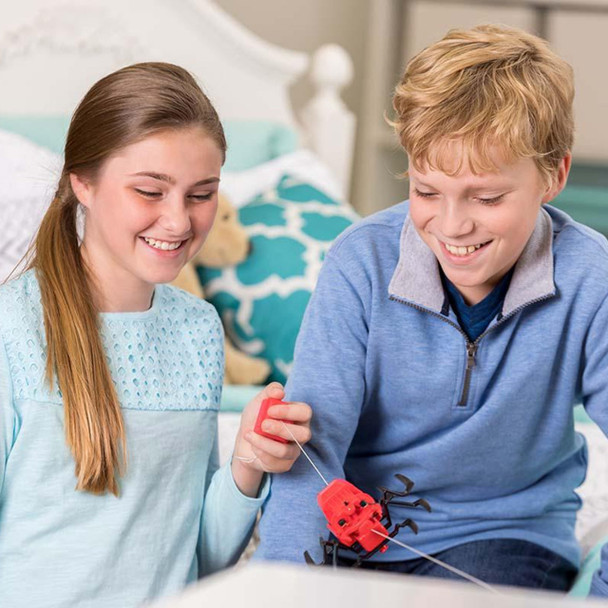 KidzRobotix Spider Robot