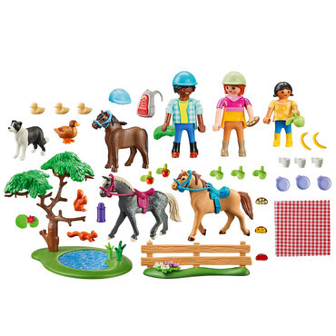 Picnic Outing with Horses