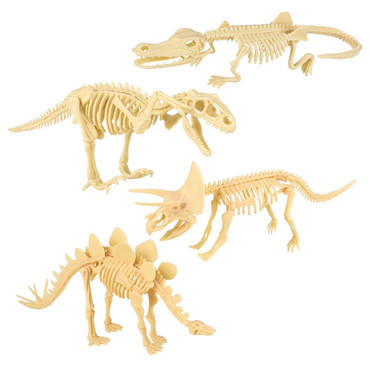 Dinosaur Fossil Skull Set