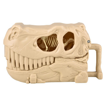Dinosaur Fossil Skull Set
