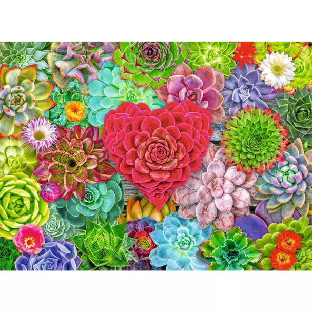 Succulent Love 500pc Puzzle Succulent Love 500pc Puzzle