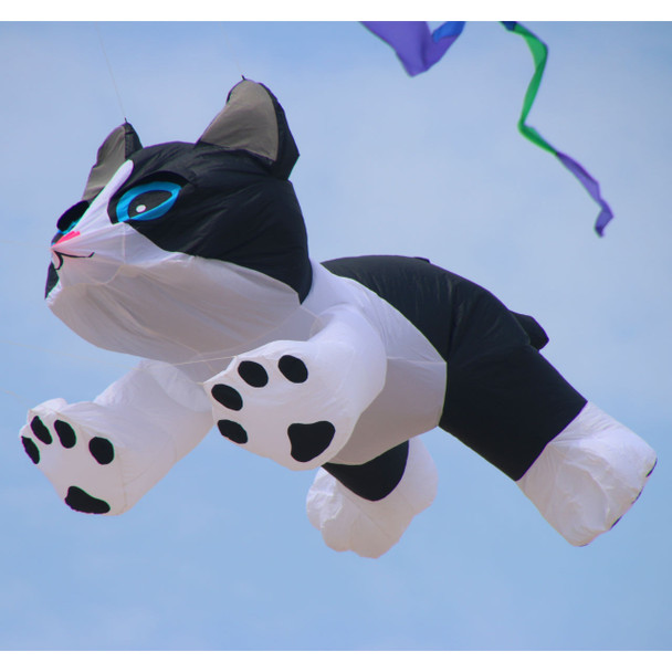 Black and White Kitten Line Laundry - 4ft