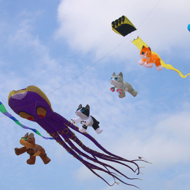 Black and White Kitten Line Laundry - 4ft