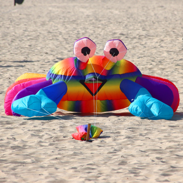 3m Billy the Crab Bouncing Buddy - Rainbow