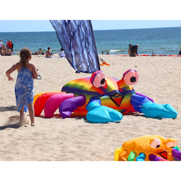 3m Billy the Crab Bouncing Buddy - Rainbow