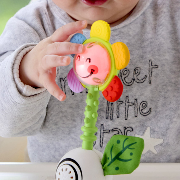 Shake n Sparkle Flower Rattle Shake n Sparkle Flower Rattle