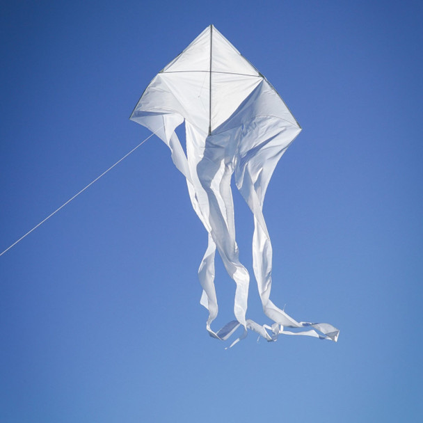 77in Wave Delta Flowtail Kite - White