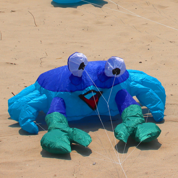 Billy the Crab Bouncing Buddy - Blue and Green