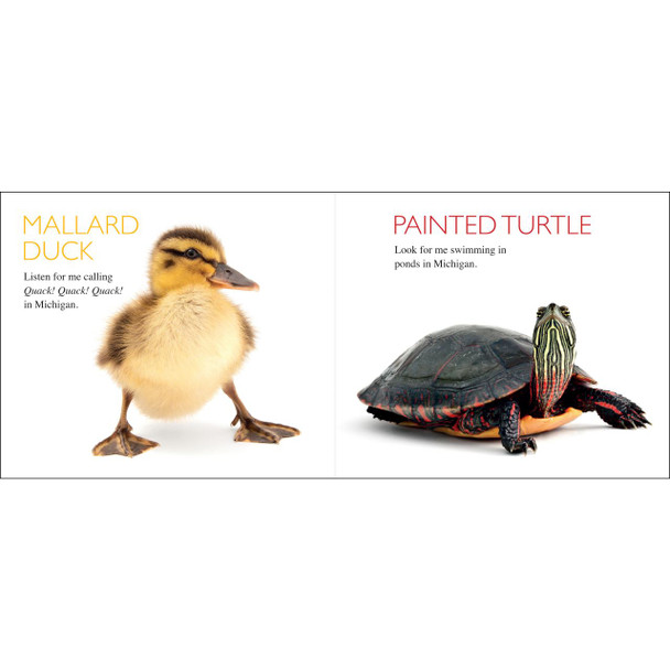 Michigan Curious Critters Book