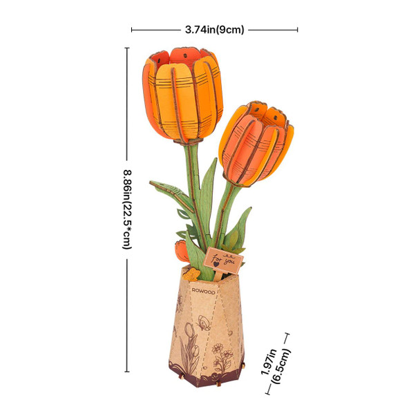 Orange Tulip