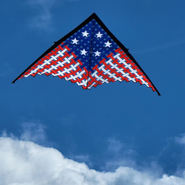 19' Patriotic Mesh Delta