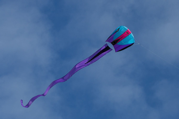 Prism Bora 5 Kite - Frost