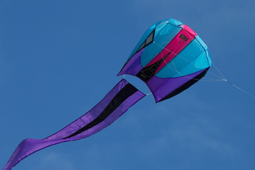 Prism Bora 5 Kite - Frost