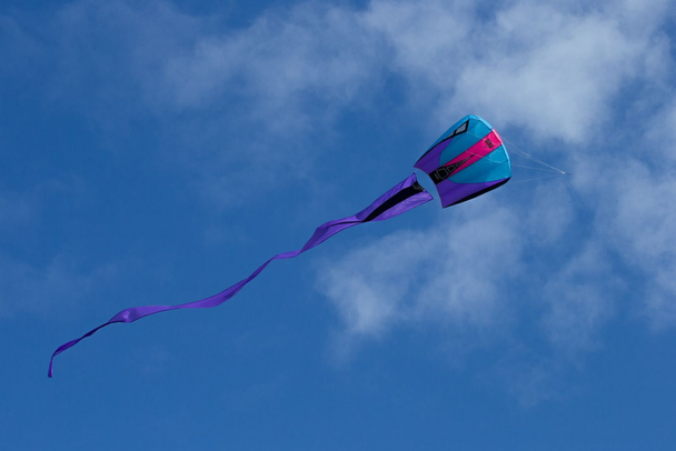 Prism Bora 7 Kite - Frost