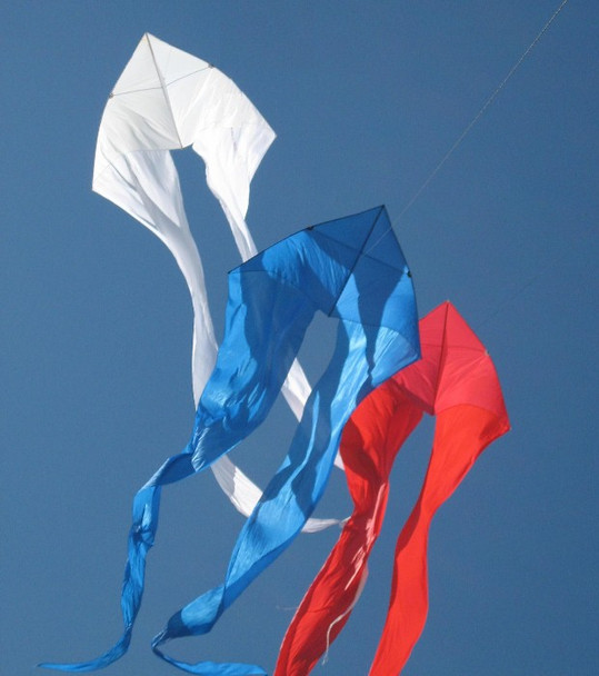 Ghost Delta Group Fly