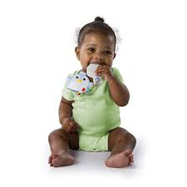 Clip and Tuck Teether Clip