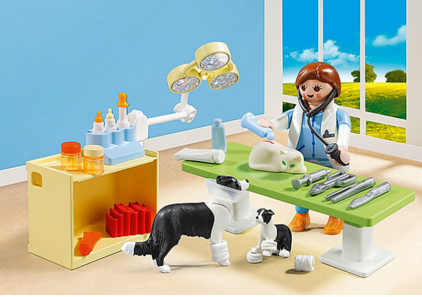 Playmobil Vet Visit Carry Case