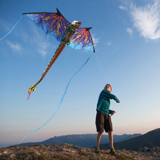 Blue Dragon 3D Kite