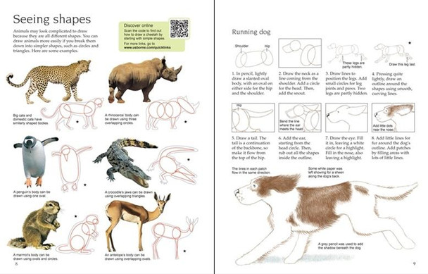 Drawing Animals book