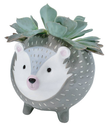 Hedgehog Ceramic Planter