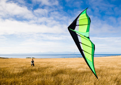 intermediate-stunt-kite-photo-62015.jpg