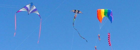 Kites