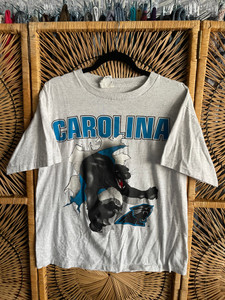 90s Nutmeg Mills NFL North Carolina Panthers Breakthrough Gray T-Shirt Size Large 90s Nutmeg Mills NFL North Carolina Panthers Breakthrough Gray T-Shirt Size Large