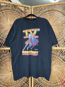 Vintage 90s 1995 WCW IV (4) Horsemen Shirt Black T-Shirt Size XL WWE WWF