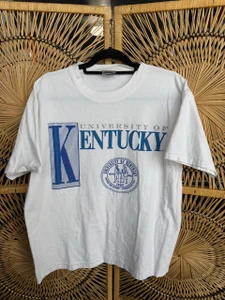 Vintage 80s 90s Oneita University of Kentucky Wildcats Light Grey Striped T-Shirt Size Large