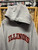 Y2K University of Illinois Illini NCAA Gray Sweatshirt Hoodie Size XL