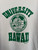 Vintage 90s University Of Hawaii Oahu White Crewneck Sweatshirt Size Large