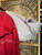 Vintage Mirage St. Louis Cardinals Embroidered Red & Grey Pinstripe Jersey Size Large