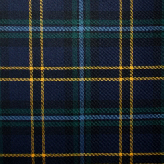 Weir Modern Tartan Crest Premium Quilt - Celtic Thistle Style