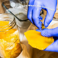 CBD vs THC vs Delta-8 vs Delta-9 vs HHC: What’s the Real Difference?