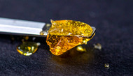 Discover CBD Crumble: Your Ultimate Guide to Concentrates