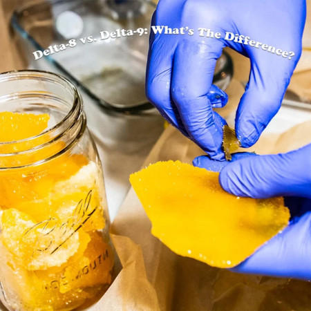 CBD vs THC: A Plain-Language Comparison Guide (2026)