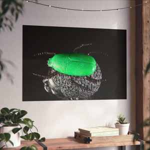 Khepera (II) - Fine Art Print Khepera (II) - Fine Art Print