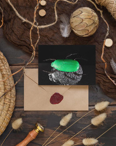 Khepera (I) - Greeting Cards (Pack)