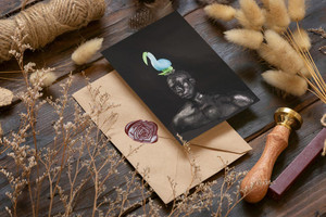 Tehuti-Maa - Greeting Cards (Pack)
