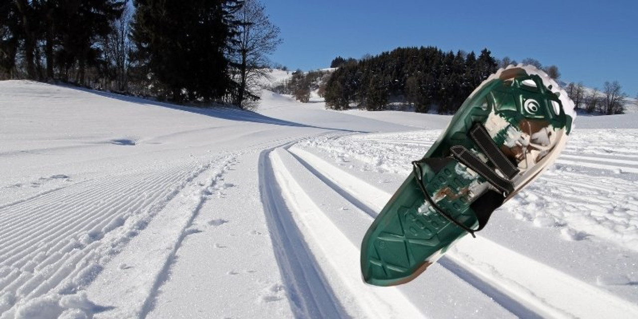 Can You Snowshoe On Cross-Country Trails? What to Know Before You Go