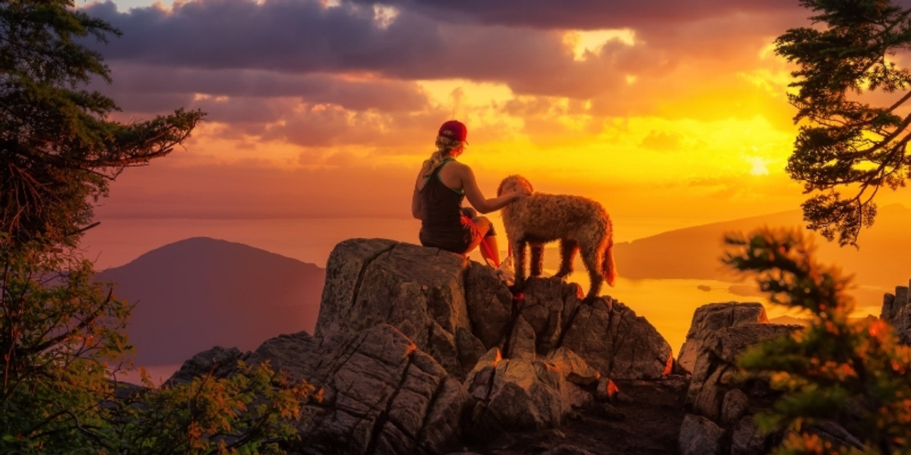 Tips For Hiking With Your Dog